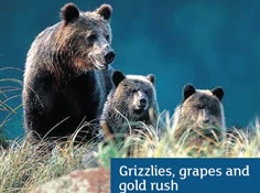 Our Canada Grizzlies, Grapes and Gold Rush